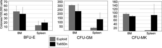 Figure 3. Ts65Dn spleens harbor increased hematopoietic progenitors. Colony-forming assays were performed using nucleated bone marrow cells or splenocytes isolated from Ts65Dn mice and euploid littermate controls. indicate euploid controls; indicate Ts65Dn. BFU-E indicates erythroid burst-forming unit; CFU-GM, granulocyte-macrophage colony-forming unit; and CFU-MK, megakaryocyte colony-forming unit. n = 3 Ts65Dn; n = 3 euploid littermates. Differences in spleen colony number are P = .1 for CFU-MKs, P = .24 for CFU-GMs, and P = .6 for BFU-Es. Error bars represent SE.