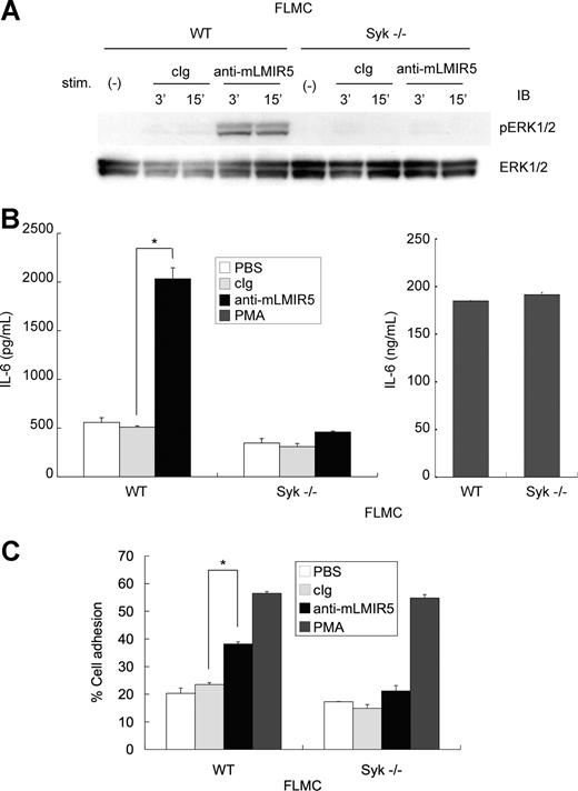 Figure 7. Cross-linking of endogenous mLMIR5 induced the activation of FLMCs. (A) WT or Syk-deficient FLMCs were stimulated with control IgG or anti-mLMIR5 Ab. The amount of phosphorylated ERK1/2 was measured as described. (B,C) IL-6 production (B) and percentage of adherent cells (C) were analyzed as described. All data points correspond to the mean and the SD of 4 independent experiments. Statistically significant differences are shown. *P < .05.