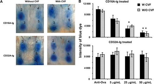 Figure 2. Local administration of CD16A-Ig at the inflammatory site blocked reversed passive Arthus reaction in mice with or without complement depletion. (A) The mice (n = 3) were injected intradermally with PBS (site 1), or various concentrations of CD16A-Ig (0 μg/mL at site 2, 5 μg/mL at site 3, 25 μg/mL at site 4, and 50 μg/mL at site 5) along with rabbit anti-Ova antibody in PBS, immediately after which ovalbumin with 1% Evan blue was injected through the tail vein. To deplete the complement, mice were twice injected intraperitoneally with cobra venom factor before the initiation of RPA. After 3h the mice were euthanized, and the dorsal side of the skin was photographed for analysis. The figure shows 3 representative mice. (B) Quantitative analysis of RPA. The dermal lesion, seen blue in the photographs, was quantified using ImageJ and KaleidaGraph softwares for groups with or without CVF treatment. Data are presented as mean plus or minus the SD from 3 individual mice. *P < .01, **P < .001.