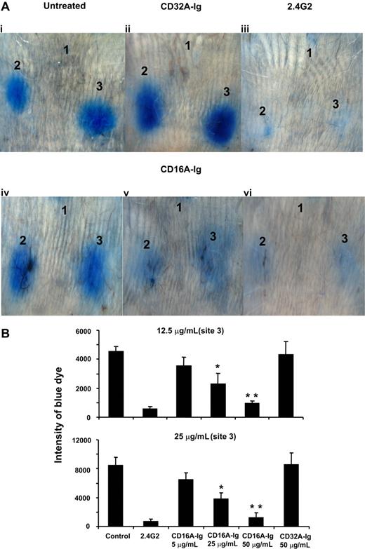 Figure 3. Systemic administration of CD16A-Ig efficiently blocked the reversed passive Arthus reaction in vivo in mice without complement depletion. (A) The mice (n = 3) were injected with various concentrations of CD16A-Ig intravenously (panel iv, 5 μg/mL; panel v, 25 μg/mL; panel vi, 50 μg/mL of blood). After 1 hour, mice were injected intradermally with PBS (site 1), 12.5 μg (site 2), and 25 μg (site 3) of anti-Ova per site. RPA was initiated by injecting Ova with 1% Evan blue intravenously through tail vein. For CD32A-Ig, 50 μg of CD32A-Ig/mL of blood was injected (panel ii). The antibody (2.4G2) treated control mice (panel iii) were injected with 25 μg/mL of blood (40 μg/mice) mAb. The PBS-injected mice served as the untreated positive control (panel i). After 3 hours the mice were killed, and the dorsal side of the skin was photographed for analysis. The figure shows 3 representative mice. (B) Quantitative analysis of RPA. The dermal lesion, shown in blue in the photographs, was quantified using ImageJ and KaleidaGraph softwares for groups with or without FcγR dimer treatment. Data are presented as the mean plus or minus the SD from 3 experiments. *P < .01, **P < .001.