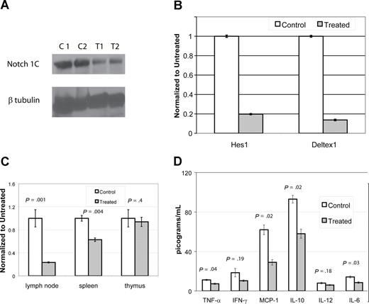 Figure 6. DAPT decreases activated Notch protein, transcription of downstream effectors, T cell proliferation, and cytokines. (A,B) Lymph node cells were harvested from mice after 4 days of treatment with DAPT or control. Panel A depicts immunoblot of activated Notch protein (Notch 1C) showing significantly decreased activated protein in 2 representative treated animals compared with 2 controls. In addition, RNA was isolated to assess down-stream targets of Notch1C activated transcription, including Hes1 and Deltex1. (B-tubulin was used as internal control.) Panel B depicts RT-PCR of Hes1 and Deltex1, comparing a representative control and treated animal. Error bars represent SD. (C,D) CBA-lprcg mice were treated with DAPT or control for 3 months (5 treated; 3 control). At killing, lymph node cells, splenocytes, and thymocytes were harvested, supported in vitro, and stimulated with mitogen. After 24 hours, supernatants were collected and cytokines assessed by cytometric bead array. After 48 hours, proliferation was measured by MTT. Panel C depicts proliferation, comparing treated to control. Bars represent mean of the treated/control (untreated) cells (relative absorbance of triplicate cultures, as described in “T-cell functional assays”); error bars represent SD. Panel D depicts results of cytokine bead array, demonstrating elevated levels of IL-10 and MCP-1 and a marked and statistically significant decrease in treated animal. Error bars depict SEM. Similar results were found with MRL mice.