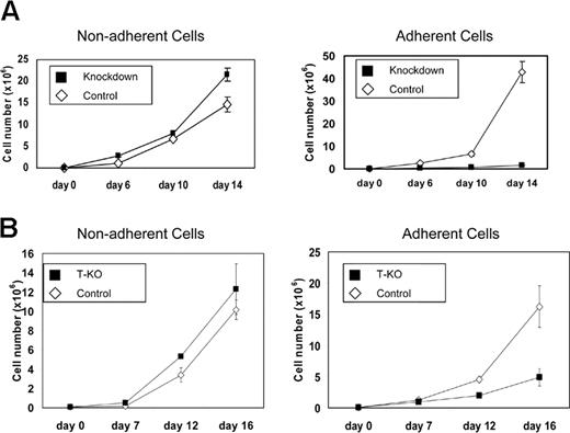 Figure 4. MMSET knockdown or disruption affects adherent growth of KMS-11 cells. (A) 105 empty vector control or MMSET shRNA-transduced KMS-11 cells were plated in triplicate in tissue culture flasks (day 0). Nonadherent and adherent cells were counted on the indicated days and then pooled and replated. (B) T-KO or random integrant control KMS-11 clones were plated and analyzed as in panel A. Average cell counts (mean ± SD) are presented.