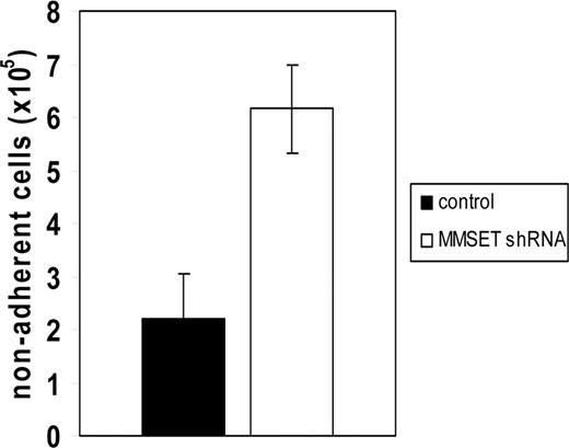 Figure 5. Reduced adhesion of MMSET knockdown KMS-11 cells. 106 KMS-11 cells transduced with empty vector lentivirus or MMSET shRNA lentivirus were seeded in triplicate in a 6-well plate coated with Matrigel and allowed to adhere for 6 hours before washing and counting nonadherent cells. Error bars represent SD; P = .004 by Student t test.