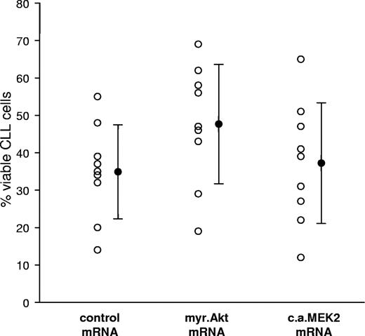 Figure 3. Sustained activation of the Akt kinase promotes leukemic cell survival. Leukemic cell viability was determined 48 hours after nucleofection with pcDNA3 (Control), myr.Akt, or CA MEK2 mRNA by Annexin V/PI staining. ○ represents the response of individual patients. Mean values are indicated by ●. Error bars indicate standard deviation. A total of 9 experiments were performed.