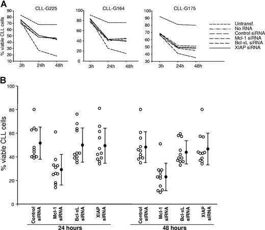 Figure 5. Mcl-1 down-regulation induces rapid apoptosis in primary CLL B cells. (A) Time course experiments comparing the viability of CLL cells nucleofected with control, Mcl-1, Bcl-xL, and XIAP siRNA. Untransfected samples (untransf.) and samples transfected without RNA (no RNA) were used to evaluate apoptosis induced by the nucleofection procedure. Viability was determined by Annexin V/PI staining at 3, 24, and 48 hours after nucleofection. (B) Purified CLL B cells from 11 patients were transfected with the indicated siRNAs. Cell viability was evaluated after 24 and 48 hours. ○ represents the percentage of viable cells in individual cases. Mean values are indicated by ●, error bars indicate standard deviation.