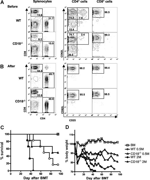 Figure 2. Naive T cells from CD18−/− donors have diminished ability to induce GVHD. Spleen and lymph nodes were harvested from WT or CD18−/− donors, and CD25−CD62L+ naive T cells were purified with magnetic beads as described in “Methods.” CD25 and CD62L expression were shown on WT or CD18−/− CD4+ and CD8+ T cells before (A) and after (B) purification. Numbers in the panels indicate the percentages of cells in the gate as shown among total splenocytes (left panels), CD4+ cells (middle panels), or CD8+ cells (right panels). Lethally irradiated BALB/c mice were given intravenous injections of 5 × 106 TCD-BM cells alone or with naive T cells from WT or CD18−/− B6 donors. (C) Survival of recipients given TCD BM cells alone (n = 12) or with WT or CD18−/− naive T cells at 0.5 × 106 (0.5 M) or 2 × 106 (2 M) per mouse. The recipients with donor T cells at 2 M were 12 mice per group, and there were 6 mice per group at 0.5 M. (D) Mean changes in percentage of body weights for the recipients as in panel C.