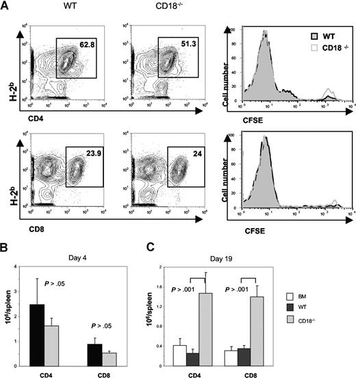 Figure 3. CD18−/− T cells have intact activation and expansion in response to alloantigen in vivo. WT or CD18−/− T cells (CD25−CD62L+) were labeled with CFSE and then injected intravenously into lethally irradiated BALB/c mice at 5 × 106 cells/mouse. Cell division and expansion were determined 4 days after cell transfer. (A) Mean of percentage donor (H2b+) CD4 (top panels) and CD8 T cells (bottom panels) are shown in spleens of recipients given WT (left panels) or CD18−/− (middle panels) T cells. CFSE profiles are shown on gated CD4 and CD8 cells (right panels) from WT (black lines) or CD18−/− (gray lines) donors. (B) Mean of absolute numbers of CD4 or CD8 cells per spleen in recipients that were given WT (■) or CD18−/− (▩) donor T cells as shown in panel A. Brackets show SEM from 3 mice each group, and data represent 1 of 2 replicate experiments. (C) WT or CD18−/− T cells (CD25−CD62L+) were injected intravenously into lethally irradiated BALB/c mice at 2 × 106 cells/mouse, and cell expansion was determined 19 days after cell transfer. Mean of absolute numbers of CD4 or CD8 cells per spleen was shown in recipients given WT (■) or CD18−/− (▩) donor T cells. Brackets indicate standard errors of the mean from 3 to 4 mice each group, and data represent 1 of 4 replicate experiments.