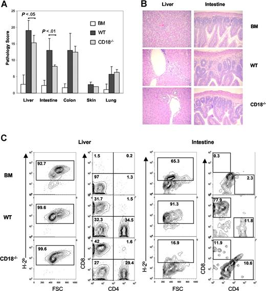 Figure 5. Recipients of CD18−/− donor T cells have significant less pathologic damage in intestine and liver. Lethally irradiated BALB/c mice were given intravenous injections of 5 × 106 TCD BM cells alone or with naive T cells from WT or CD18−/− B6 donors. On day 19, GVHD target organs, including liver, small intestine, colon, skin, and lung, were harvested for evaluation of histopathology as described in “Methods.” (A) Combined results of pathology scores for 5 to 6 mice in each group. Error bars indicate the standard errors of the mean in the group. (B) Representative micrographs from recipient livers and intestines of BM alone, WT, and CD18−/− groups with original magnification ×600. Images were captured with an Olympus BX 40 microscope (Olympus, Melville, NY) equipped with a 10×/0.40 numerical aperture objective lens. Image acquisition was performed with a JVC GC-Qx 5HDU digital camera (JVC, Wayne, NJ). (C) Donor T-cell infiltration was determined by flow cytometry in liver and intestine. Left panels show the percentage of H2b+ in total mononuclear cells isolated, and right panels show the percentage of CD4+ and CD8+ cells in gated H2b+ cells. The data show average percentage of each cell population among 3 to 4 mice per group, and represent 1 of 3 replicate experiments.