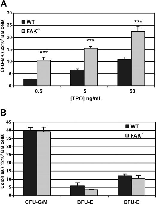 Figure 2. Increased megakaryocyte progenitor numbers in Pf4-Cre/FAK-floxed mice. (A) Colony assays for CFU-MK demonstrate a significant increase in the number of colonies from Pf4-Cre/FAK-floxed mice compared with controls. The results shown are the mean (±SEM) of 3 independent experiments. ***P < .01. (B) Colony assays for CFU-G/M, BFU-E, and CFU-E from Pf4-Cre/FAK-floxed and WT mice. No significant differences were found between the groups. The results represent the mean (± SEM) of 3 independent experiments.