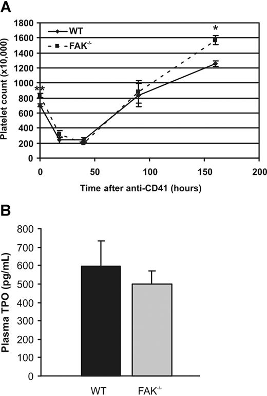 Figure 4. Platelet recovery following immune-induced thrombocytopenia in Pf4-Cre/FAK-floxed mice. (A) The data represent blood platelet levels measured at various time points following CD41 antibody administration. *P < .05. *P < .01. The numbers represent the mean platelet counts (± SEM) taken from 3 mice for each time point in each group. The data are representative of 2 independent experiments. (B) Levels of Tpo in plasma as determined by ELISA. Data represent mean (± SEM) from 5 mice in each group.