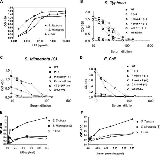 Figure 3. ELISAs of LPS-induced AP complement activation. (A) ELISA detection of LPS on LPS-coated plates. (B) AP complement activation by plate-bound S typhosa LPS in wild-type (WT) or properdin knockout (P−/−) mouse serum. To reconstitute AP activity in properdin−/− mouse serum, C3−/− serum or purified human properdin (hP) was premixed with properdin−/− mouse serum. Alternatively, LPS-coated plates were incubated with hP and washed (hP coat) before exposure to properdin−/− serum. Similar assays were performed with plate-bound LPS from S minnesota (S) (C) or E coli (D). (E,F) ELISAs of hP interaction with plate-bound LPS. Plates were first coated with different concentrations of LPS and then incubated with a fixed concentration of purified hP (62.5 ng/well; E). (F) Plates were first coated with a fixed concentration of LPS (5 μg/mL) and then incubated with increasing concentrations of purified hP. After washing, the amount of plate-bound properdin was detected by antiproperdin antibodies. OD, optical density.