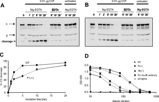 Figure 5. CVF–induced AP and anti-OVA/OVA–induced classic pathway complement activation. Western blot analysis of C3 activation in wild-type (A) or properdin−/− (B) mouse serum. Cleavage product of the C3 α-chain was detected in serum treated with CVF in Mg2+-EGTA but not in untreated serum or serum treated with CVF in EDTA. (C) Densitometry of cleaved and intact C3 α-chain in panels A and B. (D) ELISA plate assays of anti-OVA/OVA–induced classic pathway complement activation in wild-type (WT), properdin−/−, and factor B knockout (fB−/−) mouse serum or in properdin−/− serum treated with an antihuman fB antibody.