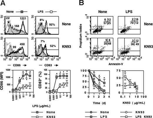 Figure 2. CaMKs regulate terminal differentiation and survival of monocyte-derived dendritic cells. Immature monocyte–derived DCs were cultured untreated or stimulated with LPS- (1 μg/μL) in the presence or absence of KN93 (10 μM), a selective inhibitor of the multifunctional CaMKs. After 24 hours, cells were recovered and double-stained with anti-CD86/anti-CD83 antibodies or with Annexin V/propidium iodide (A,B top). (A) Bottom: effects of KN93 on CD83 and CD86 expression as a function of the LPS dose. Mean (± SD) represents 6 independent experiments. (B) Bottom: effects of KN93 on survival of LPS-stimulated DC (LPS, 10 μg/mL) as a function of time or KN93 dose (left or right, respectively). Viability was calculated by trypan blue exclusion. Mean (± SD) represents 6 independent experiments.*P < .01. Values in panel A represent the mean fluorescente intensity of CD86 and the percentage of CD83 positive cells. Ctr refers to profiles of unstained cells. Values in panel B represent the percentage of cells in each quadrant.