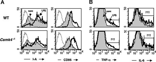 Figure 5. CaMKIV is not required for terminal differentiation and cytokine synthesis induced by LPS. Isolated CD11c+ splenic DCs from WT and Camk4−/− were exposed to LPS (10 μg/mL) or left untreated (none). After 16 hours, cells were recovered and double-stained for I-A and CD86 (A). Aliquots of cells were stained for the presence of intracellular TNF-α and IL-6 (A,B).
