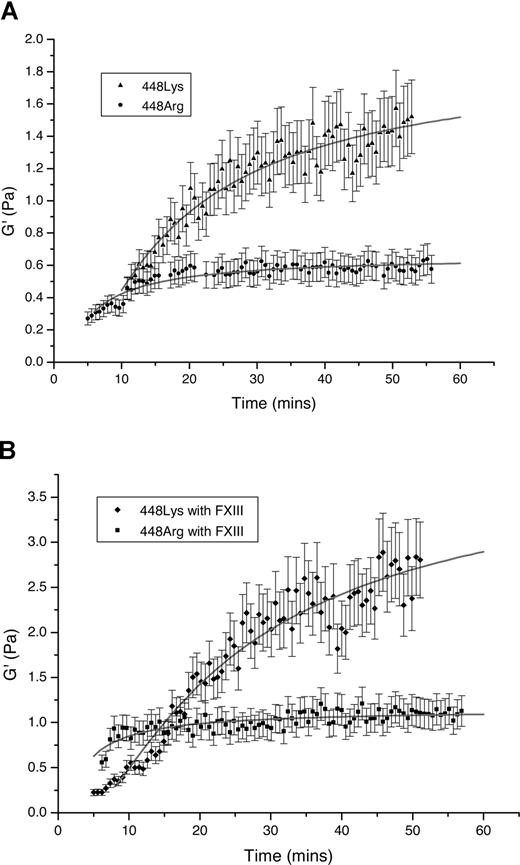Figure 3. Rigidity of recombinant BβArg448 and BβLys448 fibrin clots assessed by magnetic tweezers. Shown are G′ values in different time points (up to 45 minutes) of clots prepared from recombinant Arg448 and Lys448 variants (1.3 μM fibrinogen, 2.5 mmol CaCl2, and 0.5 U/mL thrombin) in the absence (A) and presence (B) of FXIII at concentrations of 0.068 μM. Error bars represent SD.