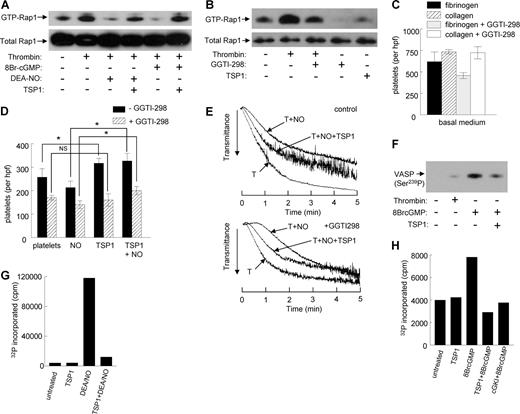 Figure 5. TSP-1 enhances platelet adhesion by antagonizing NO and 8Br-cGMP signaling via Rap1 and blocks VASP-Ser239 phosphorylation by inhibiting cGK. Platelets preincubated in the presence or absence of TSP-1 (2.2 nM) were treated with DEA/NO (10 μM) or 8Br-cGMP (100 μM) 2 minutes prior to stimulation with 0.5 U/mL thrombin (A). Rap1 activation was analyzed by affinity purification using GST-RalGDS-RBD fusion protein immobilized on Glutathione-Sepharose beads. Platelets incubated at 37°C in the presence or absence of GGTI-298 (10 μM for 30 minutes) before addition of 1 U/mL thrombin for 1 minute, or incubated with TSP1 (2.2 nM for 15 minutes), were lysed and subjected to a Rap activation assay (B). Fresh, washed human platelets were used directly or preincubated in the presence of GGTI-298 for 30 minutes, added to 35-mm plastic dishes precoated with either type I collagen (3 μg/mL) or fibrinogen (5 μg/mL) (C,D), and incubated in Tyrode buffer and the indicated treatment agents for 1 hour at 37°C. Wells were washed and platelets fixed, stained, and counted. Washed human platelets in Tyrode buffer (2 × 105 platelets/μL) were incubated in the presence of thrombin (0.2 U/mL) and exogenous NO (DEA/NO 10 μM) plus or minus TSP1 (2.2 nM) for 5 minutes or preincubated with GGTI-298 for 30 minutes and treated as described earlier for 5 minutes; aggregation was determined under high shear (E). Washed human platelets, either untreated or treated with thrombin (0.1 U/mL), 8Br-cGMP (100 μM for 2 minutes), or 2.2 nM TSP1 followed by 8Br-cGMP, were lysed, resolved on SDS gels, blotted, and probed with a polyclonal antiserum against Ser239-phosphorylated VASP (F). Washed human platelets were preincubated with TSP1 (2.2 nM) or Rp-8pCPT-cGMP (5 μM) for 15 minutes prior to treatment with NO (DEA-NO 10 μM) for 5 minutes (G) or 8Br-cGMP (100 μM) for 1 minute (H). The platelets were chilled to terminate the reaction, washed, lysed, and centrifuged. Lysate supernatants containing equal amounts of protein (100 μg) were assayed for phosphorylation of the cGK-I–selective substrate Arg-Lys-Arg-Ser-Arg-Ala-Glu. Data are representative of at least 3 experiments (A,B, E-H). Results are the mean (± SD) of at least 3 experiments (C,D).