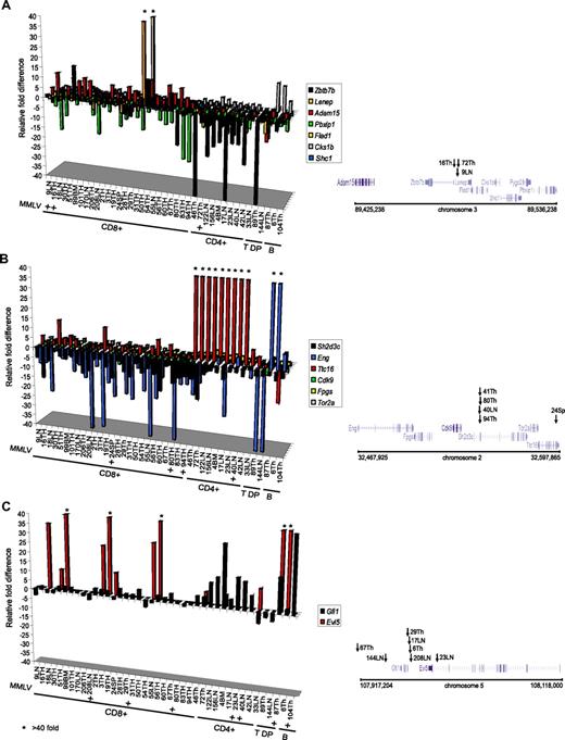 Figure 3. Cell type–specific expression patterns of CIS-associated genes in lymphomas. Relative fold differences in expression levels of genes surrounding a CIS at the Zbtb7b/Adam15/Pbxip1 (A), Sh2d3c/Ttc16/Eng (B), and Gfi1/Evi5 loci (C) in MMLV-induced lymphoid tumors from Eed mutant and wild-type mice. Expression data corresponds to data in Figure 2D. Tumor IDs and phenotypes are shown at the bottom of each graph. * indicates samples with expression level differences higher than 40-fold; and + indicates MMLV retroviral insertions identified by inverse PCR. Positioning of genes and retroviral insertions (arrows with tumor ID) identified at each CIS cluster are depicted on the right panels. Chromosome number and location (in bp) for each CIS cluster are indicated at the bottom of the right panel. B indicates B220+IgM+; T DP, CD4+CD8+.