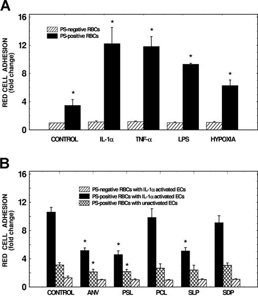Figure 1. Effects of endothelial activation and modulators of PS interaction on adhesion of PS-positive erythrocytes to human lung microvascular endothelial cells. (A) Effects of endothelial activation on PS-positive erythrocyte adhesion to HLMECs. Endothelial cells were subjected to activation either with hypoxia for 24 hours, or with IL-1α (10 ng/mL), TNF-α (10 ng/mL), or LPS (100 ng/mL) for 6 hours. Monolayers then were tested for their adhesive potential using either PS-negative or PS-positive red cells prepared by treating control erythrocytes with A23187. Adhesion of red cells to unactivated control endothelium (control) also is shown. Values presented are the mean (± SD) from 3 to 12 experiments. Adhesion of test red cells to test endothelium was presented as fold change compared with adhesion of PS-negative red cells to unactivated endothelial cells. *Values significantly different from the respective controls at P < .05 to P < .001. (B) Effects of liposomes, serine phosphates, and annexin-V on erythrocyte adhesion to HLMECs. Following activation of endothelial cells for 6 hours with IL-1α (10 ng/mL), cell monolayers were preincubated in the presence or the absence of PC liposomes (PCL), or PS liposomes (PSL) containing 30 μM total phospholipid, 100 μM serine-l-phosphate (SLP), or 100 μM serine-d-phosphate (SDP) for 45 minutes. Monolayers then were tested for their adhesive potential in the presence of appropriate modulator using red cells pretreated for 45 minutes with appropriate inhibitor. In experiments assessing the effects of annexin-V (ANV), PS-positive erythrocytes (used at 2.5% hematocrit) were pretreated with 300 μg annexin-V/mL for 45 minutes, and then tested for their adhesive potential. Values presented are the mean (± SD) from 3 to 7 experiments. Adhesion of test red cells to test endothelium was presented as fold change compared with adhesion of PS-negative red cells to unactivated endothelial cells. *Values significantly different from the respective controls at P < .05 to P < .01.