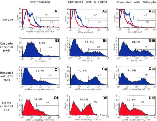 Figure 4. Surface expression of PSR protein on human lung microendothelial cells: analysis by flow cytometry. Following incubation of endothelial cells for 6 hours in the absence (left column) or presence of IL-1α (10 ng/mL, middle column) or TNF-α (10 ng/mL, right column), cells were harvested, labeled with desired test antibody or an equivalent amount of an isotype-matched negative control, and analyzed by flow cytometry as detailed. Endothelial cells labeled with mouse monoclonal antibody against PSR from Cascade Bioscience (Bi-iii), Dr Henson's laboratories (Ci-iii), and a rabbit polyclonal antibody against PSR from Sigma Chemical (Di-iii) are shown. Results presented are from a representative experiment repeated 4 to 6 times with similar results. Endothelial cells labeled with appropriate isotype-matched negative control antibodies are shown in panels Ai-iii. The red and blue lines are the negative histogram profiles for the rabbit polyclonal and mouse monoclonal antibodies, respectively. Markers M1 and M2 are the positive histogram regions for the anti-PSR monoclonal and polyclonal antibodies that were set up with endothelial cells labeled with appropriate isotype-matched negative control antibodies. Percentage marker-positive cells is shown in each panel. HT1080 cells analyzed concomitantly demonstrated 71% to 79% positivity with all 3 antibodies.