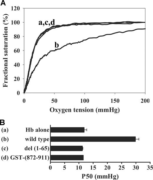 Figure 2. Effect of band 3 isoforms on Hb-O2 equilibrium. (A) Hb-oxygen dissociation curves were measured for Hb alone (a) or Hb in the presence of wild-type cdb3 (b), kidney cdb3 (c), or GST-(872-911) (d). Hb (20 nmol) was mixed in a cuvette with 10 nmol of cdb3 in a total volume of 200 μl in 10 mM bis-Tris acetate buffer, pH 6.5. After 3 minutes' incubation at 37°C, 2.3 mL of 10 mM bis-Tris acetate buffer, pH 6.5, 20 μl of 20% (w/v) bovine serum albumin, and 8 μl of antifoam solution were added to the solution. Hb-O2 dissociation curves were then generated in a HEMOX analyzer. (B) Graphic comparison of P50 values in the presence and absence of the above band 3 isoforms (error bars represent 1 SD).