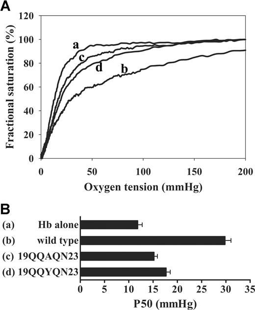 Figure 4. Effect of mutations in residues 12-23 of cdb3 on Hb-O2 equilibrium. (A) Hb-oxygen dissociation curves were measured for Hb alone (a), Hb in the presence of wild-type cdb3 (b), substitution mutants 19QQAQN23 (c), or 19QQYQN23 (d). (B) Graphic comparison of P50 values in the presence and absence of the above mutants spanning residues 12-23 (error bars represent 1 SD).