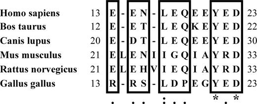 Figure 7. Homology analysis of the deoxyHb binding sequence on band 3. The species for each sequence is listed on the left. Conserved residues are framed in boxes, under which the degree of homology is indicated: *, complete conservation; :, conserved substitutions are observed; and ., semiconserved substitutions are observed.