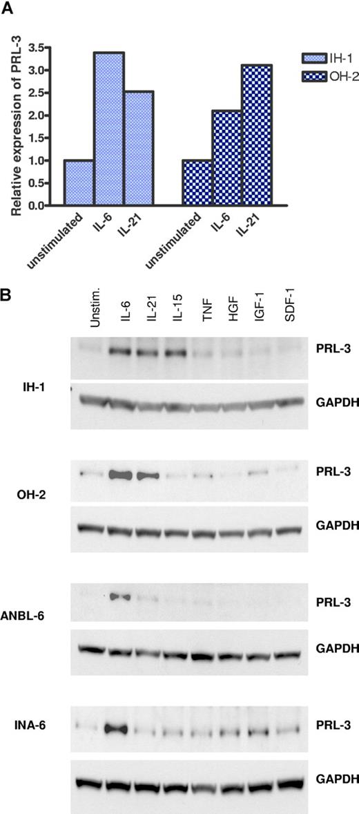 Figure 1. Expression of PRL-3 mRNA and protein after cytokine stimulation. (A) Quantification of PRL-3 mRNA by real-time RT-PCR was performed after stimulation of IH-1 and OH-2 cells either with or without IL-6 and IL-21 for 24 hours. The ΔCt value between PRL-3 and β-actin from the unstimulated cells reflects the expression of PRL-3 relative to its internal control β-actin. The ΔCt value for the unstimulated IH-1 cells was 2.68 with a standard variation of 0.17 and for the unstimulated OH-2 cells it was 22.49 with a standard variation of 0.31. Thus, standard variation for all ΔCt values from RT-PCR reactions was between 1% and 2% of its ΔCt value. The relative expression level of PRL-3 to β-actin in the unstimulated cells was represented by 2−ΔCt and was arbitrarily set to 1. The relative expression of PRL-3 to β-actin in the stimulated cell culture, 2−ΔCt, was then normalized to that of the unstimulated cell culture, 2−ΔCt(unstim) / 2−ΔCt(stim), and is illustrated on the y-axis. (B) PRL-3 expression was determined by Western analysis after an 18-hour incubation with various cytokines. Cytokine concentrations were as follows: IL-6, 5 ng/mL; IL-21, 20 ng/mL; IL-15, 20 ng/mL; TNF, 10 ng/mL; HGF, 150 ng/mL; IGF-1, 100 ng/mL, and SDF-1, 75 ng/mL. The loading control was GAPDH (bottom panels).