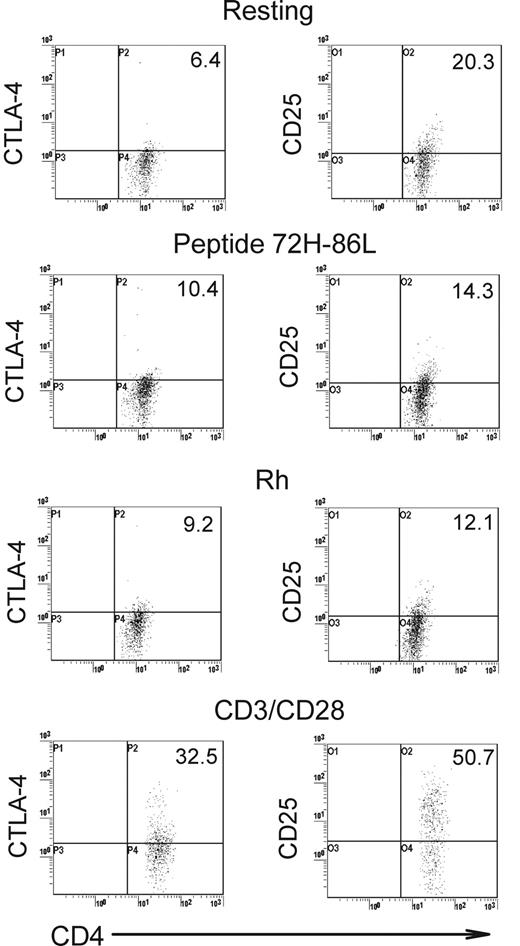 Figure 4. Expression of CTLA-4 and CD25 as regulatory T-cell markers. Analysis of representative Tr clone P8(1) (left), showing CTLA-4 up-regulation when the clone is specifically stimulated with APCs presenting peptide 72H-86L, Rh protein autoantigen, or anti-CD3/CD28 stimulatory antibody. Conversely, CD25 is down-regulated by the clone after specific stimulation with APCs presenting cognate autoantigen in the form of peptide 72H-86L or Rh protein (right) but is up-regulated, as expected, by anti-CD3/CD28 stimulation. Number of IL-10 positive cells are represented in upper right quadrant as a percentage of the total CD4+ T-cell poplation. Experimental detail is described in Figure 2.