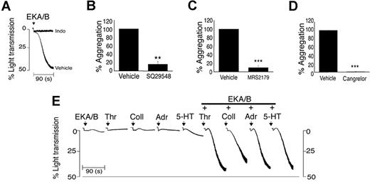 Figure 2. EKA/B-mediated platelet aggregation is dependent on ADP and TXA2 release. Platelets were stimulated with EKA/B (5 μM) in the presence of indomethacin (10 μM) or vehicle control (Me2SO, A), SQ294890 or vehicle control (Tyrode-HEPES buffer, B), cangrelor (AR-C69931MX) or vehicle control (Tyrode-HEPES buffer, C), or MRS2179 or vehicle control (Tyrode-HEPES buffer, D), and aggregation was measured under constant stirring conditions at 37°C. Washed platelets were stimulated with subaggregatory concentrations of EKA/B (1.25 μM) alone, thrombin (Thr.; 0.005 U/mL), collagen (Coll.; 0.5 μg/mL), adrenaline (Adr.; 10 μM), or 5-HT (10 μM) in combination with EKA/B (1.25μM) or vehicle control (acetic acid 0.001%), and aggregation was measured at 37°C under constant stirring conditions (E). Individual aggregation traces are representative of 3 separate experiments (A,E). Numerical data represent means plus or minus SEM. (n = 3); **P < .01; ***P < .001.