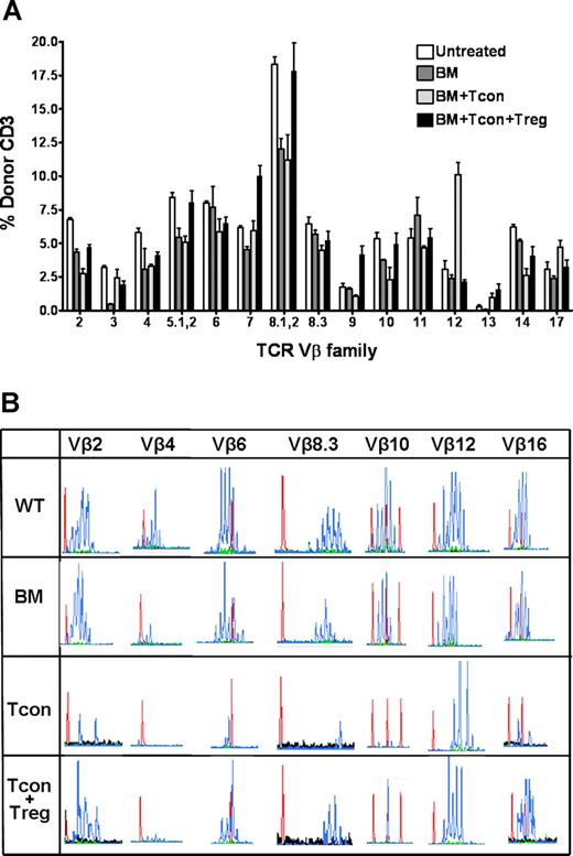 Figure 2. Influence of regulatory T cells on the TCR Vβ repertoire following hematopoietic cell transplantation. (A) TCR Vβ profile of donor FVB (unpublished data) or C57Bl6 (shown) CD3+ T cells from Balb/c recipients on day 30 following transplantation. Flow cytometry shows a broad overall Vβ usage in all groups, with a higher percentage of donor CD3+ T cells at the majority of Vβ regions in animals that received Tregs in addition to Tcons. TCR Vβ profiles of untreated age-matched C57Bl/6 animals (Untreated) and of Balb/c recipients which received only C57Bl/6 T cell–depleted bone marrow cells (BM) served as controls. Data presented as the mean plus or minus SE (3 to 4 mice per group). (B) CDR3 size spectratyping analysis was performed using C57Bl/6-specific Vβ primers to generate PCR products from purified splenic cells from untreated C57Bl/6 wild-type controls (WT) or transplant recipients which received TCD-BM alone, with Tcons (Tcon) or with Tcons and Tregs (Tcon + Treg), on day 30 following transplantation. Shown are representative spectratypes of Vβ2, 4, 6, 8.3, 10, 12, and 16 in the histogram format. Histograms (blue peaks) depict CDR3 sequence length (abscissa) vs frequency of occurrence (ordinate). Red peaks within each histogram represent nucleic acid reference sequence of defined length. Data are representative of at least 3 animals per group, from one of 2 experiments.