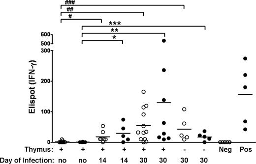 Figure 6. Tregs permit the generation of secondary responses to CMV antigen. Euthymic or thymectomized Balb/c animals that were co-transplanted with FVB TCD-BM, Tcons, and Tregs (●) or with TCD-BM alone (○) on day 0 and infected with CMV on day 14 or 30 were killed on day 100. Donor splenic lymphocytes were sorted and CMV-specific responses to E1 antigen were measured by Elispot assay for Interferon-γ release. Each symbol represents the Elispot count from a different mouse. Solid line indicates mean number of elipsots. P values: * = .01, ** = .006, *** = .01, # = .002, ## = .001, ### = .001. P values are not significant between • versus ○, and not significant between euthymic versus thymectomized animals infected on day 30 for both groups. Positive (pos) and negative (neg) controls are as described in “IFN-γ ELISPOT assay.”