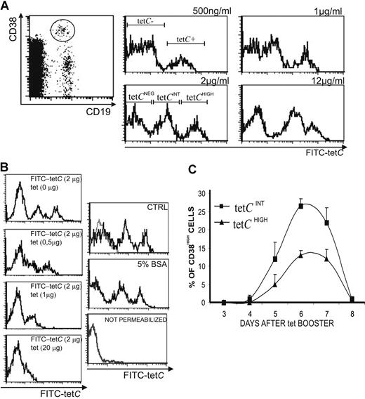 Figure 1. Detection of tetC− and 2 different subsets of tetC+ PCs in the peripheral blood of volunteers, 6 days after tet immunization. (A) PCs were identified as CD19+ CD38HIGH cells in a CD19/CD38 dot plot obtained by FACS (left panel). The presence of tetCINT and tetCHIGH cell subsets was established by labeling permeabilized CD19 CD38HIGH cells with increasing quantities of FITC-tetC. Right panel shows a representative experiment. FITC-tetC concentrations of 500 ng/mL or less only distinguished 2 cell subsets (tetC− and tetC+; top left), while the use of higher concentrations revealed the presence of 3 different cell subsets (tetCNEG, tetCINT, and tetCHIGH; bottom left). (B) Representative control experiments showing the expression histograms of FITC-tetC staining (2 μg/mL) when the cells were coincubated with increasing quantities of unlabeled tet (left panels) or with 5% BSA (middle right), and when the cells were not permeabilized (lower right). Pale line denotes background control. (C) Temporal kinetics of tetCINT and tetCHIGH cells. The percentages of circulating tetCINT and tetCHIGH CD19+ CD38HIGH cells were obtained from day 3 to day 8 after booster. Results represent the mean plus or minus SEM (n = 7).