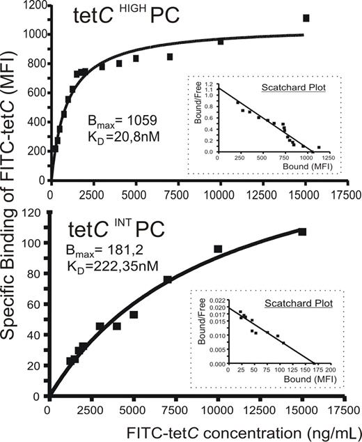 Figure 4. Anti-tetC Ab contained in tetCHIGH and tetCINT PC subsets differed in their affinity for tetC. A flow cytometric assay was used to assess the specific tetC binding of the Ab synthesized by these PC subsets in which MFI of FITC-tetC staining is plotted against FITC-tetC concentration. A representative experiment of the saturation curves of tetCHIGH PC (top panel) and tetCINT PC (bottom panel) for FITC-tetC is shown. Insets show the corresponding Scatchard plots. Bmax and relative KD data are also included.