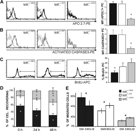 Figure 6. Functional capacities of tetCHIGH, tetCINT, and tetCNEG PC subsets. (A-C) Left panels show a representative histogram of APO2.7 expression (A) and activated caspase-3 expression after a 24-hour culture period (B), and BrdU uptake after an 18-hour incubation period (C), by the 3 blood PC subsets. The corresponding bar histograms on the right summarize the results obtained from several donors. Values are expressed as the MFI of the expression of positive PCs (A,B) and as the percentage of positive PCs (C). Results represent the mean plus or minus SEM (n = 5 for panels A-C). (D) Recovery of tetCNEG, tetCINT, and tetCHIGH PCs in blood cell cultures. The percentage of tetCNEG, tetCINT, and tetCHIGH PCs recovered initially (0 hours), and after 24 and 48 hours of culture, were determined by flow cytometry. Results represent the mean plus or minus SEM (n = 6). (E) CXCL12-induced chemotaxis of tetCNEG, tetCINT, and tetCHIGH PCs. CXCL12 (1 μg/mL) was added to the bottom chamber of a transwell culture system. Values are expressed as the percentage of migrated PCs. Results represent the mean plus or minus SEM (n = 6). Asterisks in panels A through C indicate statistically significant differences among PC subsets, and in panels D and E indicate statistically significant differences within every PC subset among data from different times (D) or from different experimental conditions (E).