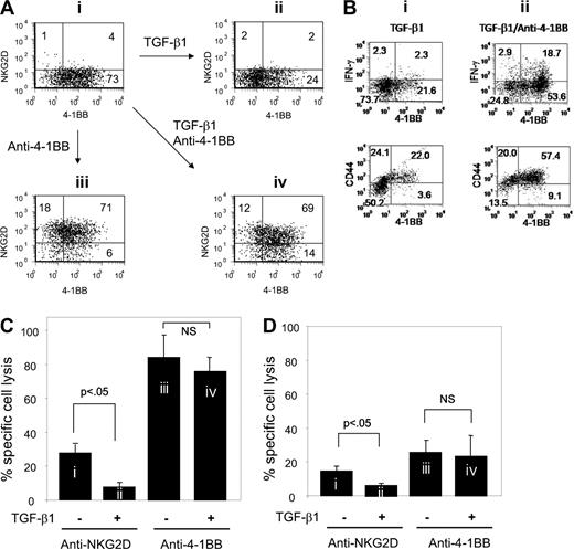 Figure 2. 4-1BB costimulation restores NKG2D expression as well as cytotoxic activity down-regulated by anti-NKG2D costimulation. (A) After anti-NKG2D costimulation, CD8+ T cells were either maintained with anti-NKG2D (i and ii) or costimulated with anti–4-1BB (iii and iv) in the presence (ii and iv) or absence of TGF-β1 (i and iii) for an additional 3 days. Cells were analyzed for NKG2D and 4-1BB expression on the cell surface by flow cytometry. Numbers in each quadrant of dot plots represent percentage of cell populations expressing NKG2D and/or 4-1BB. (B) The cells (i and ii) were prepared as described for the cells in Figure 1Aii,iv and analyzed for the production of IFN-γ and surface expression of CD44. Cell surface was stained with anti–4-1BB-biotin/streptoavidin-FITC, anti–NKG2D-PE, anti–CD8-PE-Cy5.5 and either with anti–IFN-γ-APC for intracytoplasmic IFN-γ or anti–CD44-FITC. For CD44 staining, anti–4-1BB-APC was used instead of anti–4-1BB-biotin. To detect IFN-γ, protein transport inhibitor was added to cell culture 2 hours before cell harvest. IFN-γ and CD44 expression levels were plotted against 4-1BB for the CD8+ T cells (i) and NKG2D+CD8+ cells (ii) gated. (C,D) Cells designated i through iv in panel A were accessed for cytotoxic activity against MIC-vector– (C) and empty vector–transfected C1R target cells (D) as target cells. Averaged percentages of specific lysis calculated from quadruplet assay data were further processed to obtain the mean plus or minus SD from 3 CB samples.