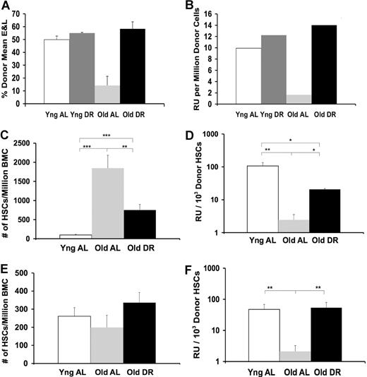 Figure 2. BALB: Effects of DR and age on in vivo functional abilities of BMCs and numbers of HSCs. BMCs from young AL, young DR, old AL, and old DR, female BALB (Gpi1a) mice were each mixed 1:1 with BMCs from a standard competitor pool of young female congenic BALB (Gpi1b) mice. This mixture was injected intravenously into lethally irradiated young female BALB recipients. Donor (Gpi1a) contributions to erythrocytes and lymphocytes in the peripheral blood of replicates were averaged 6 months after transplantation. A total of 3-9 young AL, old AL, or old DR donors were used over the course of 3 experiments. (A) Total marrow functional ability based on the average composition of erythrocytes and lymphocytes (E & L). (B) Total marrow functional ability expressed in repopulating units. (C) Numbers of LT-HSCs present in the original donor marrow using the mKSL flow criterion. Counts from young DR were not available (**P < .01; ***P < .001). (D) Functional ability per LT-HSC in the subset of animals using mKSL flow criterion (*P < .05; **P < .01). (E) Numbers of HSCs present in the original donor marrow using the SP + Kit flow criterion. Counts from young DR were not available. (F) Functional ability per HSC in the subset of animals using the SP + Kit flow criterion (**P < .01). Functional ability of old AL versus others in panel A is significant (P < .001). Error bars represent SE.