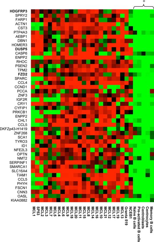 Figure 1. Gene expression profile of MCL-associated genes. A total of 46 MCL-associated genes were identified by filtering the transcriptionally profiled genomes. The relative expression of selected genes is shown for the 21 MCL samples, 5 B-cell populations, and the 3 different MCL cell lines (NCEB1, Granta 519, and SP53). Hierarchic clustering using bootstrapping (n = 100) was performed, and the 5 B-cell populations were shown to be significantly (P < .05) separated from the MCL samples and the tumor cell lines.