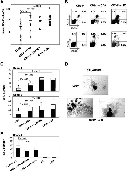 Figure 2. Human mPB-derived cFCs enhance repopulation of hematopoietic CD34+ progenitors in NOD/SCID mice in vivo and clonogenicity in methylcellulose in vitro. (A) The content of human CD45+ cells in NOD/SCID BM at 8 weeks after transplantation with CD34+ cells alone (n = 16) or together with CD8+ cells (n = 12), CD8+TCR− cells (n = 3) or cFCs (n = 10), as indicated. Bar indicates mean repopulation efficiency. Cells are derived from 3 CB and 3 mPB donors. (B) Representative FACS analysis of human hematopoietic lineages in NOD/SCID BM. Percentages in FACS plots refer to lineage marker–positive cells of total cells in the BM. (C) CFU assay of CB CD34+ cells (250 cells) preincubated for 2 hours at 37°C alone or with CD8+ cells, CD8+TCR− cells or cFCs (750 cells each) from 2 mPB donors. CFU-GM and CFU-GEMM, in triplicates or quadruplicates, were counted after 14 days. SEM and P values refer to total colony numbers. Specifically for the CD34+ plus cFC group, P values of CFU-GEMM were less than .001 (Donor 1) and less than .01 (Donor 2), and of CFU-GM were greater than 0.5. (D) Large GEMM-CFU–derived colonies formed after coculture with cFCs are shown. Micrographs were acquired by imaging methylcellulose cultures with a Leica microscope (Leica Microsystems, Wetzlar, Germany) fitted with 100× objective, DS-5M camera head, and camera control unit DS-L1 image acquisition software (Nikon, Tokyo, Japan). (E) CFU assay of CB CD34+ cells (250 cells) preincubated for 2 hours at 37°C with cFCs (750 cells), without and with anti-Flt3L (Flt3L-Ab) or control mAb (c-Ab), and CFU assay of cFCs or CD8+ cells alone, as indicated. Preincubation with Flt3L-Ab did not inhibit growth of CD34+ cells alone (not shown). CFU-GM and CFU-GEMM, in triplicates were counted after 14 days. SEM and P values refer to total colony numbers; n.s., not significant.