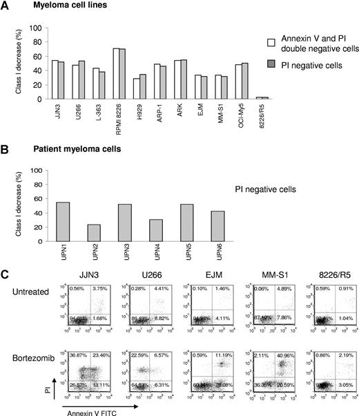 Figure 1. MM cells exposed to bortezomib have decreased HLA class I expression on the cell surface. (A) Bortezomib induced identical down-regulation of HLA class I on MM cell lines after gating on PI negative or PI and annexin V double negative cells. MM cell lines were exposed to 10 nM bortezomib for 24 hours, and then stained with annexin V FITC/HLA-ABC allophycocyanin/PI. Class I expression on the cell surface was analyzed by flow cytometry; 8226/R5 was a bortezomib–resistant MM cell line. The data represent one of 3 individual experiments. The percentage of HLA class I decrease was determined by: 100 × (MFI of control − MFI of treated cells)/MFI of control. (B) Reduction of HLA class I expression was tested on patient MM after bortezomib treatment. The patient MM cells were treated with 10 to 50 nM bortezomib for 16 to 24 hours. UPN indicates unique patient number. (C) Viability of MM cell lines after exposure to bortezomib. MM cells were incubated with 10 nM bortezomib for 24 hours. Cells were stained with annexin V and PI and analyzed by flow cytometry. One of 3 representative experiments was shown. The percentages are shown of cells that are annexin V and PI double negative (lower left quadrant), double positive (upper right quadrant), solely annexin V positive (lower right quadrant), and solely PI positive (upper left quadrant).