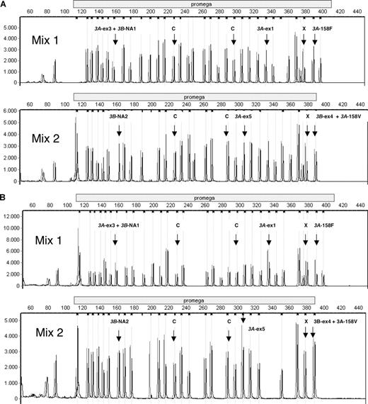 Figure 2. CNV in FCGR3A. (A) MLPA electropherogram. Individual A with only 1 allele FCGR3A (gray line) compared with individual B with 2 alleles of FCGR3A (black line). FCGR3A-specific probes are indicated with an arrow. As an example, 2 of the control probes are indicated (C). One of the probes is specific for the X-chromosome (X). Individual A: Female, FCGR3B-Na1Na1, FCGR3A-158F. Individual B: Male, FCGR3B-Na2Na2, FCGR3A-158FF. (B) MLPA electropherogram. Individual C with 3 alleles FCGR3A (gray line) compared with individual D with 2 alleles of FCGR3A (black line). FCGR3A-specific probes are indicated with an arrow. As an example, 2 of the control probes are indicated (C). One of the probes is specific for the X-chromosome (X). Individual C: Female, FCGR3B-Na2Na2, FCGR3A-158VFF. Individual D: Female, FCGR3B-Na2Na2, FCGR3A-158VF. Because of the homology between certain probes, probes had to be divided over 2 separate mixes to prevent competition.