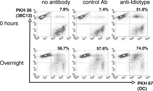 Figure 1. Phagocytosis of irradiated 38C13 lymphoma cells by DCs. Tumor cells were labeled with PKH 26, irradiated (30 Gy), and incubated for 30 minutes on ice with media alone, control mouse IgG2a mAb, or anti-idiotype antibody. The tumor cells were then cocultured for 0 hours or overnight with DCs prelabeled with PKH 67, and analyzed via flow cytometry. The percentage of DCs double-positive for both PKH 26 and PKH 67 is reported in the top right of each panel.