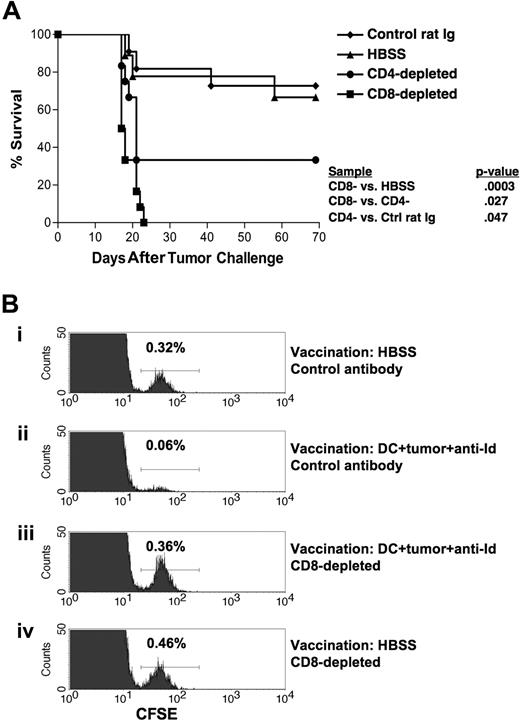 Figure 6. Protective immunity is dependent on CD8+ T cells. (A) Groups of mice were vaccinated on days −28 and −14 with DCs loaded with irradiated, mAb-coated tumor cells subcutaneously. On days −6, −5, −4, and 0 and weekly thereafter the animals were depleted of CD8+ T cells using mAb HB129 (n = 12), depleted of CD4+ T cells using mAb GK1.5 (n = 12), control depleted using control rat Ig (n = 11), or treated with HBSS (n = 9). On day 0, mice were challenged with 5000 38C13 cells subcutaneously. Animals were then followed for survival. Results are representative of 3 individual experiments. (B) In vivo cytotoxicity assay demonstrating the clearance of live tumor cells from vaccinated mice. Groups of 4 mice were vaccinated on days −28 and −14 with either DCs loaded with irradiated, mAb-coated tumor cells (ii,iii) or HBSS (i,iv). On days −6, −5, and −4 animals were depleted of CD8+ T cells using mAb HB129 (iii,iv) or control depleted using isotype-matched mAb UPC10 (i,ii). On day 0, mice were injected with 107 CFSE-labeled 38C13 intravenously. After 4 hours, spleens were harvested, pooled, and analyzed via flow cytometry for loss of 38C13 target cells. Histograms depict CFSE-labeled cells from groups of 4 pooled mice; the percentage target cells recovered is indicated.