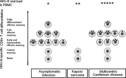 Figure 4. Model of CD8+ T-cell responses to HHV-8 in different clinical situations: asymptomatic HHV-8 carriage, KS, and MCD. A model based on the experimental findings of the present study and previous published results25 is proposed. In peripheral blood, both AC and MCD status are associated with a polyfunctional HHV-8–specific CD8+ T-cell response, whereas this response lacks during KS. Cells in MCD tend to be more highly differentiated than in AC and related to high HHV-8 viral loads (*). As in other chronic viral infections, immune protection against HHV-8 seems to be conferred by sufficient magnitude of early or intermediate effector memory antiviral CD8+ T cells. On the contrary, polyfunctional HHV-8–specific CD8+ (black dots) T cells are not correlates of protection against MCD.