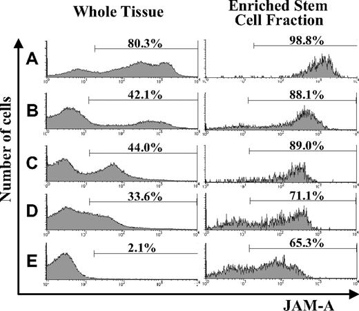 Figure 1. Expression of JAM-A in AGM, FL, and adult BM. Expression of JAM-A in whole tissues (left) and enriched stem cell fractions (right) in E11.5 AGM (A), E11.5 FL (B), E14.5 FL (C), E18.5 FL (D), and adult (8-12 weeks) BM (E). Representative data from more than 3 independent experiments are shown. Numbers on the graphs are percentages of JAM-A+ cells in whole tissue and on stem cell fractions.
