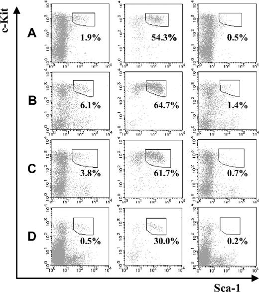 Figure 3. Stem-cell fractions in JAM-A+ and JAM-A− cells in BM. Stem-cell fractions (Sca-1+c-Kit+) in whole lineage-negative cells (left), lineage-negative JAM-A+ cells (middle), and lineage-negative JAM-A− cells (right) in 1-week-old BM (A), 8- to 12-week-old BM (B), and 36- to 40-week-old BM (C). Each enclosure represents the percentage of enriched stem-cell fraction that is Sca-1+c-Kit+ in lineage-negative cells (A-C). Sca-1+c-Kit+ in whole cells (left), JAM-A+ cells (middle), and JAM-A− cells (right) in 8- to 12-week-old BM. Enclosures represent the percentages of Sca-1+c-Kit+ in cells that are without lineage depletion procedure (D). Representative data from more than 3 independent experiments are shown.