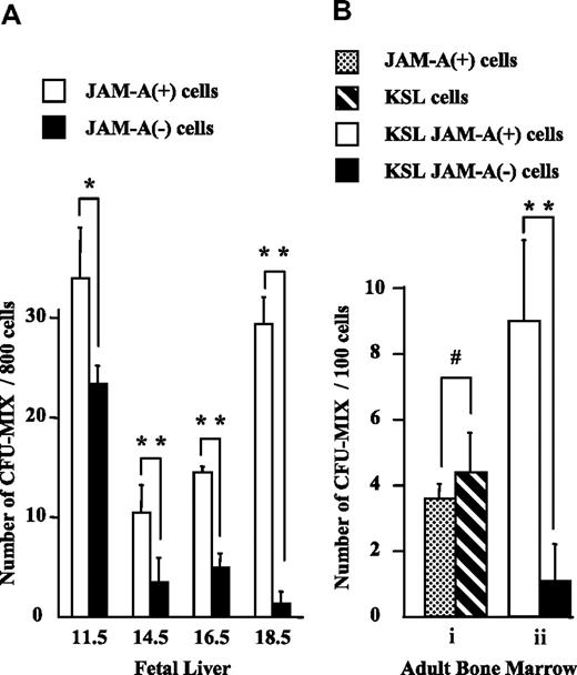 Figure 5. Colony-forming activity of JAM-A+ and JAM-A− cells. Colony-forming activity of sorted cells from fetal and adult tissues was examined. (A) CFU-Mix activity of 800 JAM-A+ cells versus 800 JAM-A− cells in CD34+c-Kit+ cells in E11.5 FL and KSL cells in E14.5, E16.5, and E18.5 FL. (B) CFU-mix activity of 100 JAM-A+ cells without lineage depletion versus 100 KSL cells (i). CFU-mix activity of 100 JAM-A+ cells versus 100 JAM-A− cells in KSL cells in 8- to 12-week-old BM (ii). Results from more than 3 independent experiments are shown. Error bars indicate SEM; *P < .05, **P < .001, #P > .2.