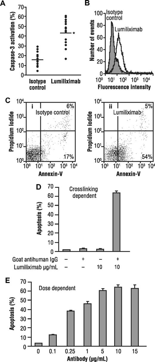 Figure 1. Induction of apoptosis by lumiliximab in CLL cells from patients with CLL and the transformed B-cell lines SKW6.4 and SB. (A) Freshly prepared CLL cells from 16 patients with CLL were incubated in the presence of 10 μg/mL lumiliximab or isotype control antibody. Apoptosis was measured using a flow cytometry-based assay for activated caspase-3 (*P value in t test, < .001). Data from a representative patient are shown in panels B and C. (B) Flow cytometric analysis of activated caspase-3 (open histogram, lumiliximab-treated; shaded histogram, isotype control). (C) Annexin V/propidium iodide staining: (i) an isotype control-stained sample and (ii) a lumiliximab-stained sample. (D) Induction of apoptosis by lumiliximab is crosslinking dependent. SKW6.4 cells (0.5 × 106 cells/mL) were incubated with 10 μg/mL lumiliximab, with or without F(ab′)2 goat anti–human IgG for 18 hours. (E) Induction of apoptosis by lumiliximab is dose dependent. Incubation with lumiliximab was at the indicated concentrations, and F(ab′)2 goat antihuman IgG was included in all samples for 18 hours. Percentage apoptosis was determined as described in “Apoptosis assays.”