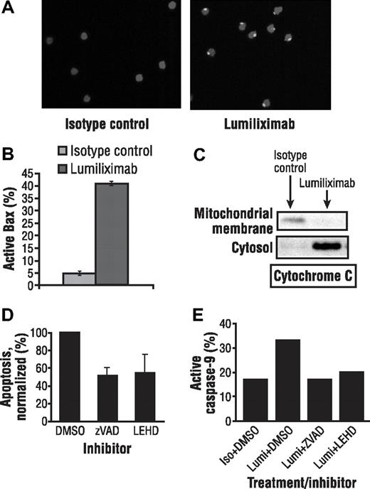 Figure 4. Lumiliximab induces activation of Bax in CLL cells. (A) CLL cells treated with isotype control or lumiliximab for 4 hours were fixed, permeabilized, stained with anti-Bax NT polyclonal antibody followed by secondary anti–rabbit Ig-FITC, and analyzed by confocal microscopy. (B) Increasing levels of active Bax were detected by intracellular flow cytometry at 2 and 4 hours after treatment with lumiliximab but not in cells treated with isotype control. (C) Lumiliximab treatment induces the translocation of cytochrome c. Cytosol and mitochondria-enriched membrane fractions were prepared as described in “Subcellular fractionation” from isotype control or lumiliximab-treated cells. Samples were analyzed by immunoblot with antibodies against cytochrome c. (D) Summary of caspase inhibition data showing mean plus or minus SD (n = 3). (E) Caspase-9 activation induced by lumiliximab was blocked in the presence of caspase inhibitors z-VAD-fmk (ZVAD) and z-LEHD-fmk (LEHD), confirming the activity of the caspase inhibitors used in these experiments.