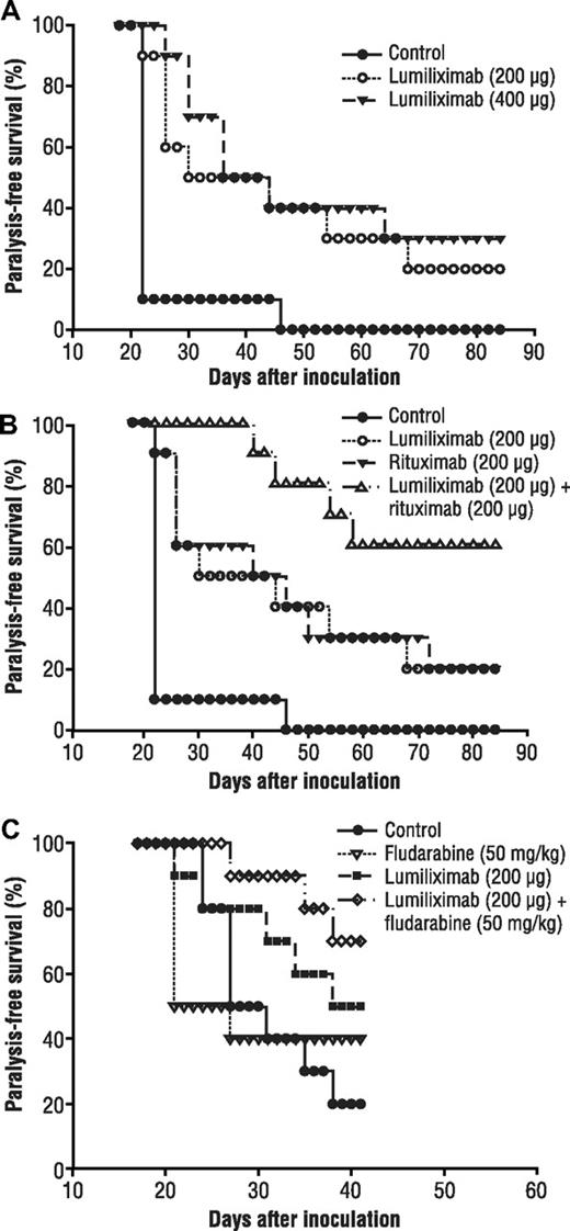 Figure 7. Paralysis-free survival after treatment with lumiliximab, rituximab, fludarabine, and lumiliximab plus rituximab or lumiliximab plus fludarabine in a disseminated lymphoma mouse model. (A) On day 0, groups of mice (n = 10) were inoculated intravenously with 4 × 106 SKW6.4 cells. Mice in the rituximab or lumiliximab single-agent groups were given 200 μg or 400 μg of lumiliximab. Mice in the control group were given 400 μg isotype control antibody. Antibody injections were given on days 1, 3, 5, 7, 9, and 11 after tumor inoculation. (B) On day 0, groups of mice (n = 10) were inoculated intravenously with 3.6 million SKW6.4 cells. Mice in the lumiliximab single-agent group received 200 μg of lumiliximab intraperitoneally on days 3, 7, 11, and 15. (B) Mice in the rituximab group were given 200 μg of rituximab. Mice in the combination group were injected intraperitoneally with 200 μg each of lumiliximab and rituximab. (C) Mice in the fludarabine group were given 50 mg/kg on day 5 and day 10 after tumor inoculation. Mice in the combination group were injected intraperitoneally with 200 μg of lumiliximab and 50 mg/kg fludarabine according to the regimen described here. Mice in the control group were given 200 μg isotype control antibody according to the regimen described here. Antitumor response in this model is defined as “% Paralysis-free survival,” which represents the fraction of animals surviving without terminal paralysis or severe disease.