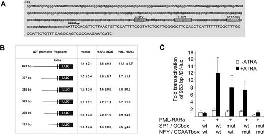 Figure 3. The CCAAT and GC box in the ID1 promoter are required for PML-RARα–mediated transactivation. (A) ID1 promoter region showing the presence of consensus Sp1- and NF-Y–binding sites. (B) Transactivation of ID1 promoter-luciferase constructs. Several deletion constructs were generated and transfected in combination with RARα plus RXR, or with PML-RARα. Transactivation assays were performed as described in Figure 2. Mean values from 3 independent experiments (± SD) are shown. (C) To investigate the importance of the putative Sp1- and NF-Y–binding sites in the − 121-bp upstream promoter sequence of the ID1 gene for transactivation by PML-RARα, these sites were mutated in the context of the − 963-bp promoter fragment. Mutations were introduced either alone, or in combination. Transactivation by PML-RARα was performed as described in Figure 1. Sequences were mutated as follows: GC box: CCGCCC was replaced by CTATCC; NF-Y site: ATTGG was replaced by ACACG. Transactivation was significantly lower in the promoter fragments with one mutated binding site in comparison with the wt promoter fragment (P < .01).